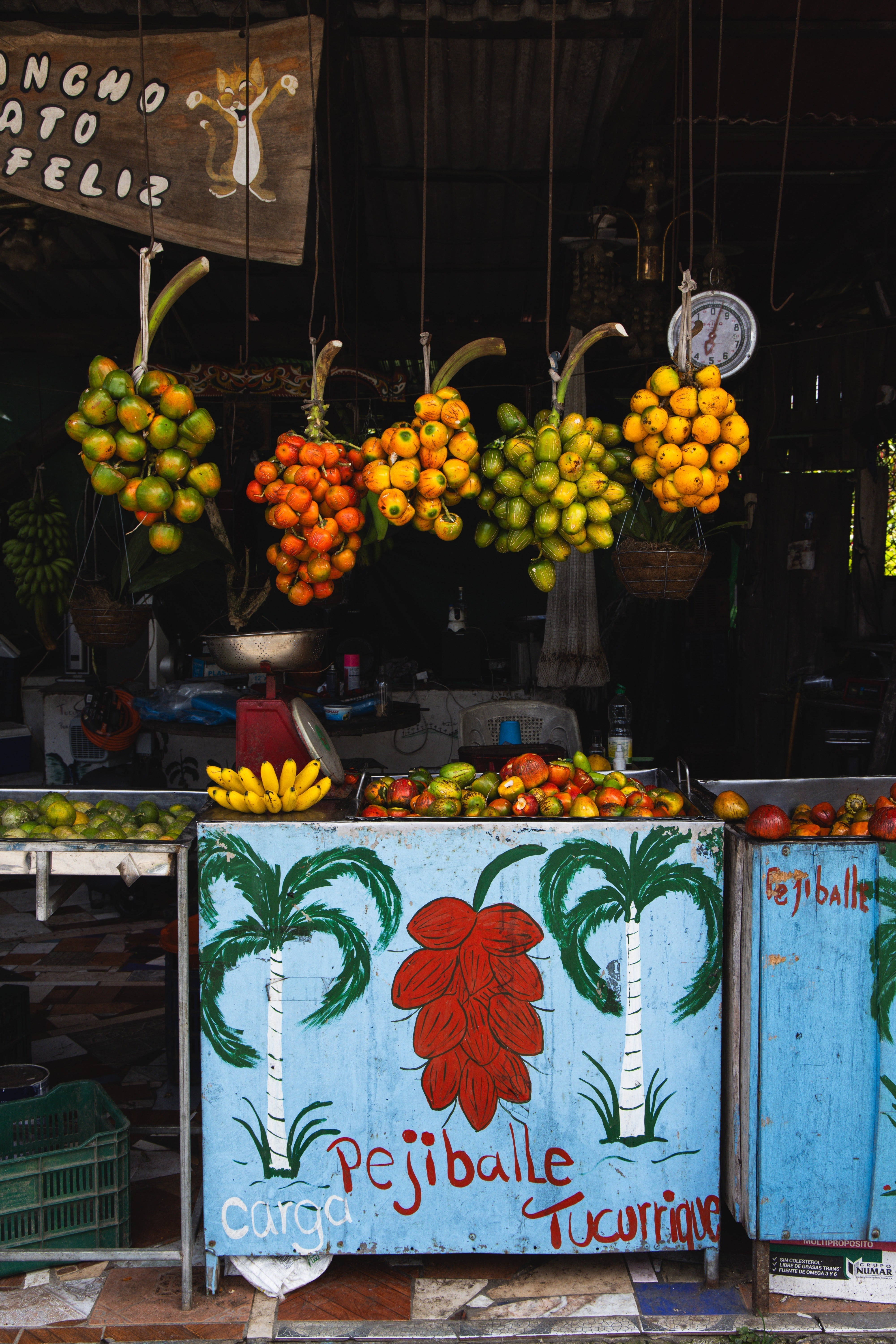 Harvesting Nature's Bounty: A Peek into Pejibaye Farming - PEJI BAR